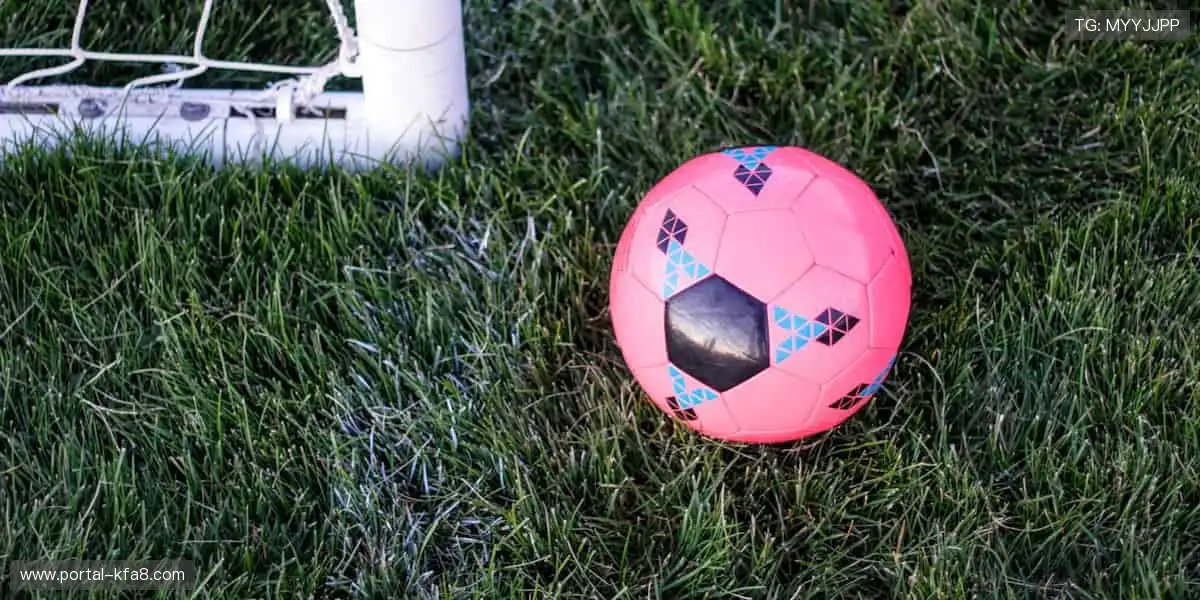 色碟视讯游戏平台：红白双色简单刺激，极速开奖无需等待